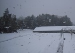 雪の風景2.JPG